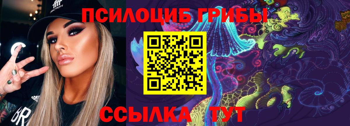 Псилоцибиновые грибы GOLDEN TEACHER  Вход с VPN  Мценск 