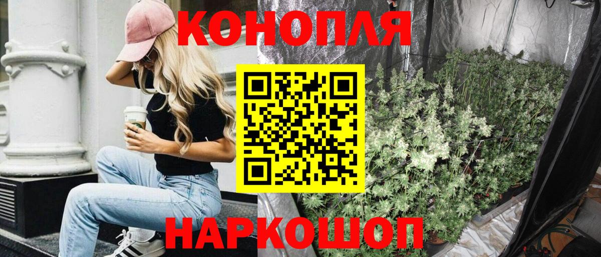 Марихуана Amnesia  МАРИХУАНА гибрид  Мценск  Каннабис планчик  МАРИХУАНА THC 21%  Вход с VPN 